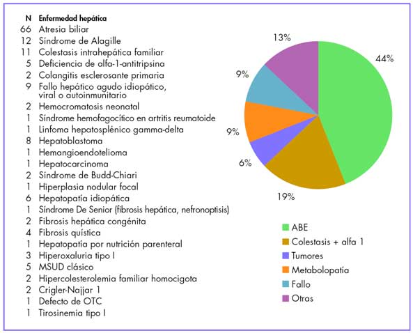 fundacion noise de mexico transplantes interno